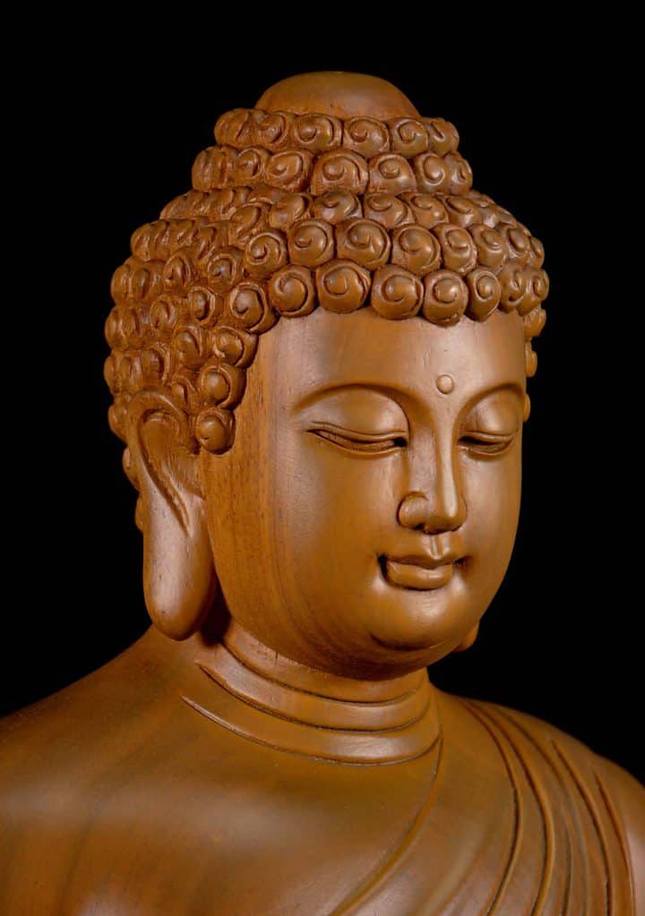 9 Vietnamese Wood Seated Dhyana Mudra Meditating Buddha Sculpture Light C