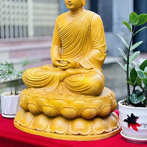 Tượng Phật Thích Ca Mô Ni Gỗ Gõ Vàng Cao 60cm 8 Scaled