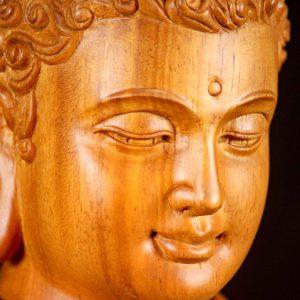 12 Light Vietnamese Wood Seated Buddha In Full Robes Sculpture Meditating C