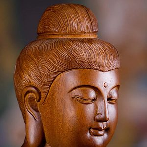 13 Vietnamese Wood Seated Meditating Dhyana Mudra Buddha Sculpture Brown C