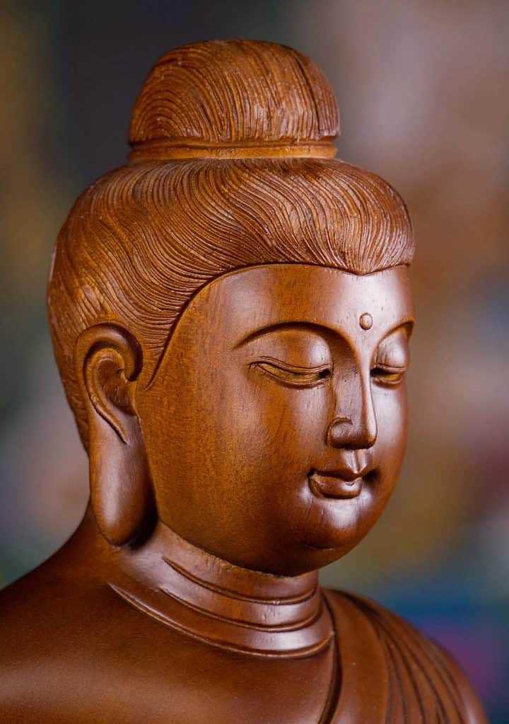 13 Vietnamese Wood Seated Meditating Dhyana Mudra Buddha Sculpture Brown C