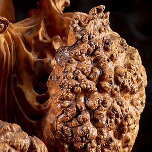 21 Vietnamese Wood Bodhidharma Statue In Burl Wood C